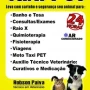 Foto 1:  Táxi Pet 24 Horas